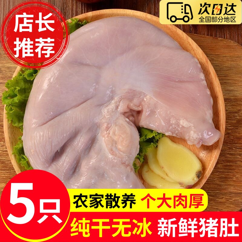 山东临沂农家散养土猪大肚冷冻批
