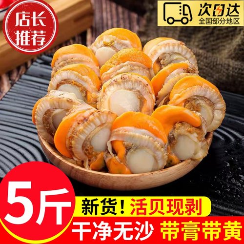 新鲜冷冻带黄带膏扇贝肉批发