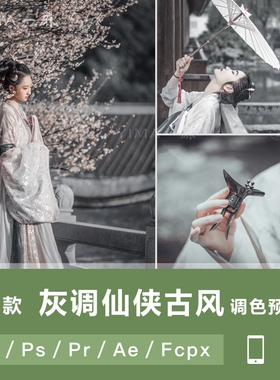 LR预设仙侠灰色古风古装汉服达芬奇FCPX手机APP滤镜PR调色LUT素材