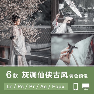 汉服达芬奇FCPX手机APP滤镜PR调色LUT素材 LR预设仙侠灰色古风古装