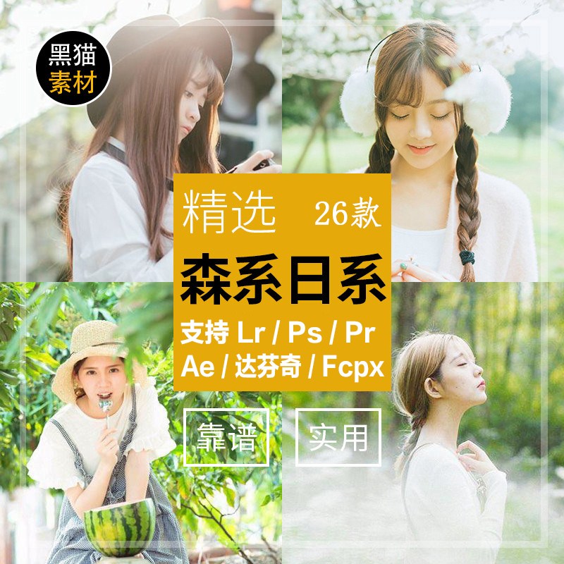 LR预设清新日系森系调色滤镜PR/PS/FCPX/达芬奇/AE/LUT预设素材