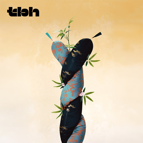 tbh野兽派家居织锦长条抱枕