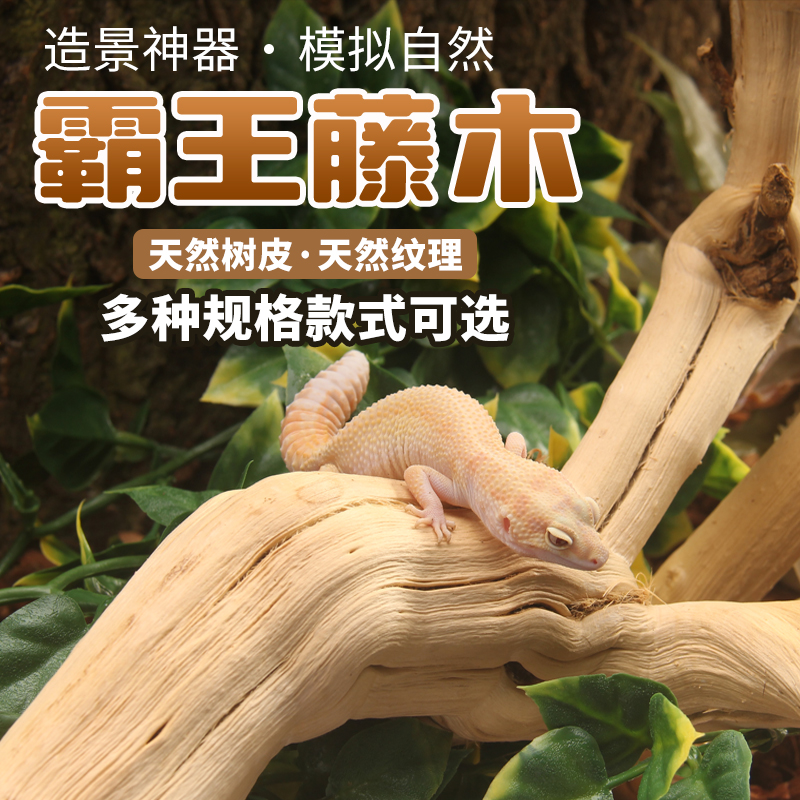 爬宠霸王藤木造景守宫蜥蜴攀爬