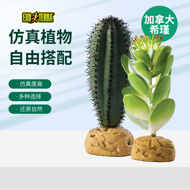 爬虫宠雨林缸造景仿真植物守宫