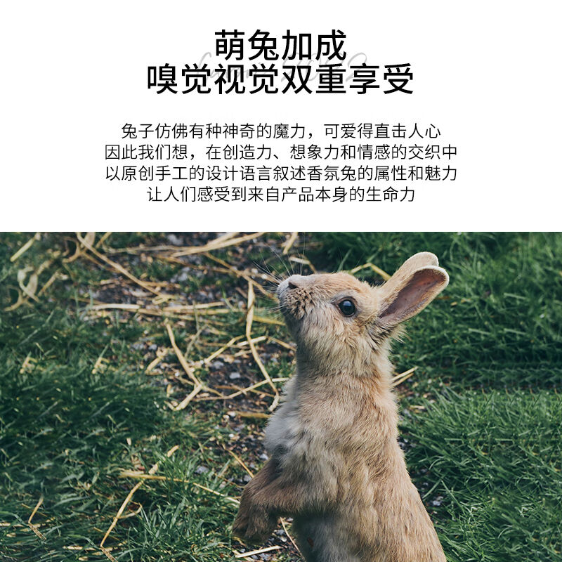 Carori香薰网红款香氛兔子背包持久留香薰百年蓝色【