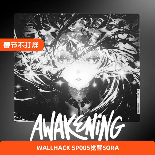 WALLHACK沃哈克觉醒玻璃鼠标垫