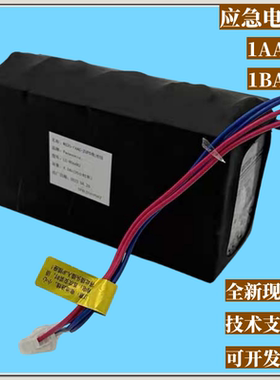 适用东芝电梯应急电池组WS20-1AAC/2-ZUPS无机房电源LC-R064R2