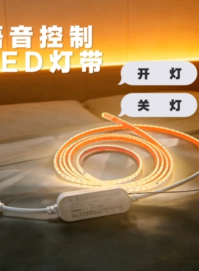 220V灯带led灯条室内卧室床头客厅电视背景墙开关插电款氛围灯