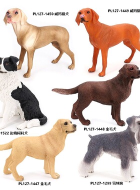 仿真宠物狗动物模型金毛犬柯利犬威玛猎犬雪纳瑞儿童认知摆件玩具