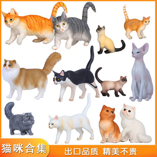 仿真大号波斯猫动物模型玩具橘猫湄公河猫小猫咪儿童认知摆件礼物