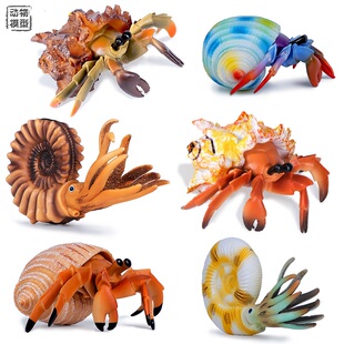 仿真寄居蟹玩具鹦鹉螺海洋生物动物模型实心塑胶儿童认知摆件礼物
