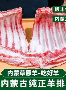 内蒙古新鲜整扇羊排冷冻商用手把羊肉手抓烧烤半成品国产滩羊肋排