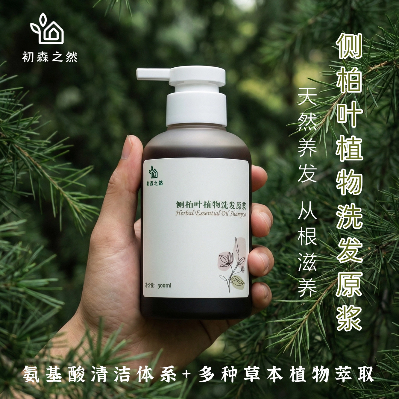 侧柏叶草本植物洗发原浆古法养发控油氨基酸无硅油精油蓬松洗发水