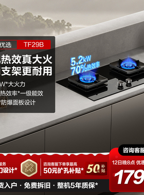 [新品]方太TF29B燃气灶煤气灶家用双灶台天然气液化气官方旗舰店