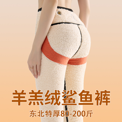 东北羊羔绒鲨鱼裤女外穿