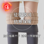 漠河防寒裤 外穿加绒保暖裤 女秋冬季 800克东北零下40度鲨鱼裤