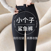 小个子鲨鱼裤 保暖 打底瑜伽裤 女外穿秋冬季 收腹提臀加绒2025新款