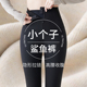 保暖 收腹提臀加绒2025新款 女外穿秋冬季 打底瑜伽裤 小个子鲨鱼裤
