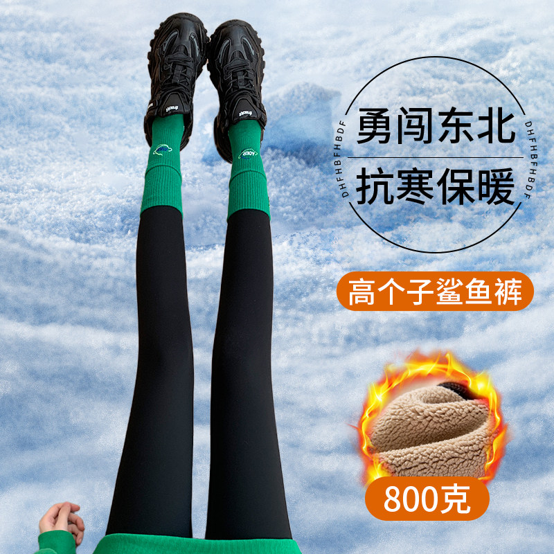 800克东北加绒鲨鱼裤女外穿秋冬季高个子加厚加长保暖打底裤