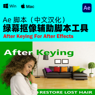 绿幕抠像辅助脚本 中文汉化 After V1.0.7 使用教程 Keying