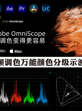 AE/PR/达芬奇 视频调色万能颜色分级示波器插件 Nobe OmniScope