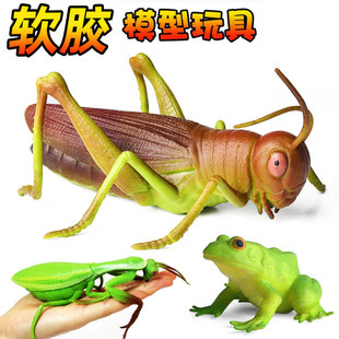 软胶昆虫玩具蝗虫螳螂蝎子蜘蛛蜗牛苍蝇模型仿真动物玩偶儿童玩具
