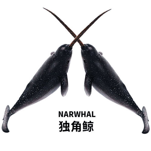 独角鲸玩具海洋动物模型一角鲸鱼