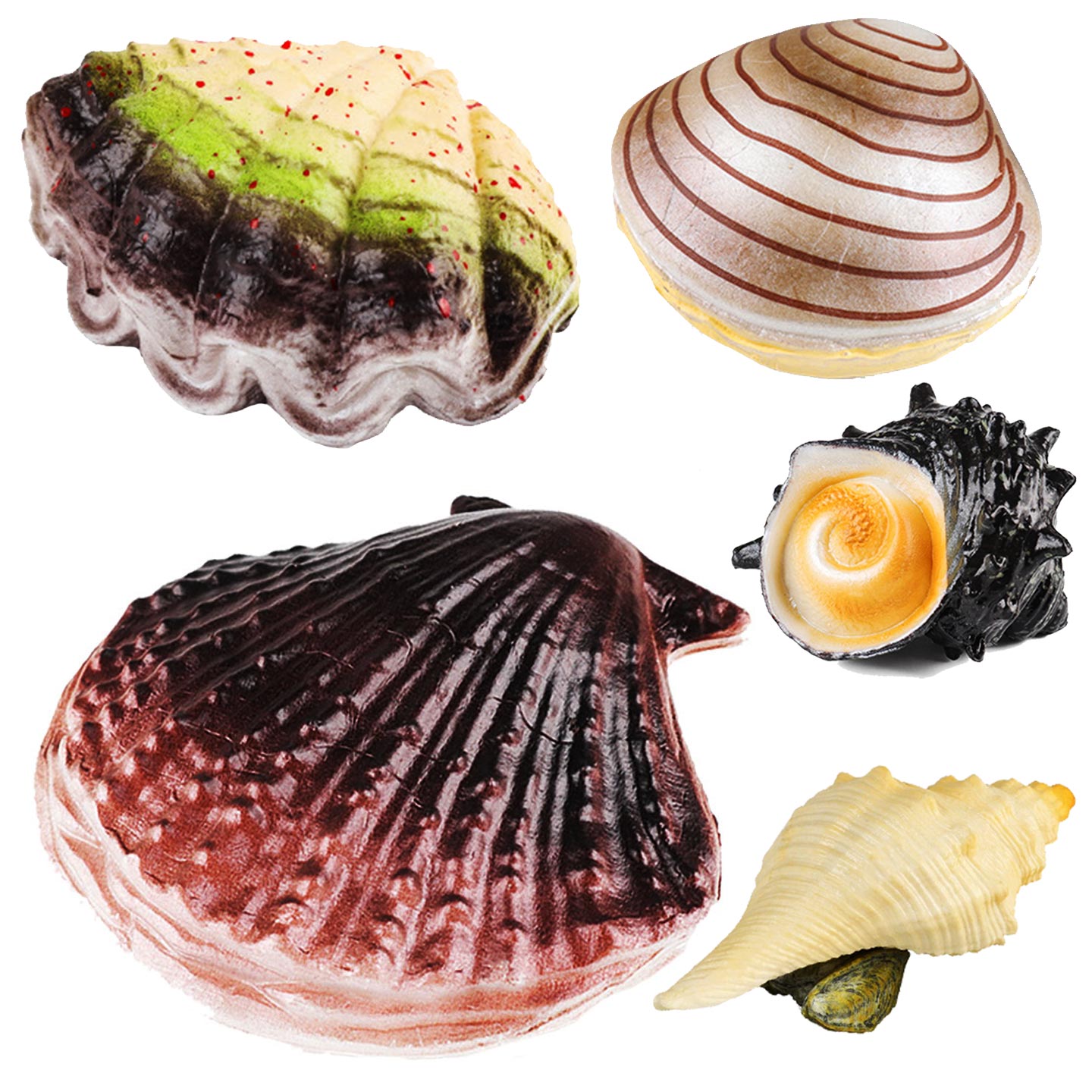 仿真贝壳海螺扇贝生蚝哈喇花贝海底海洋生物模型鱼缸装饰儿童玩具