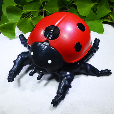 仿真昆虫玩具大号独角仙七星瓢虫