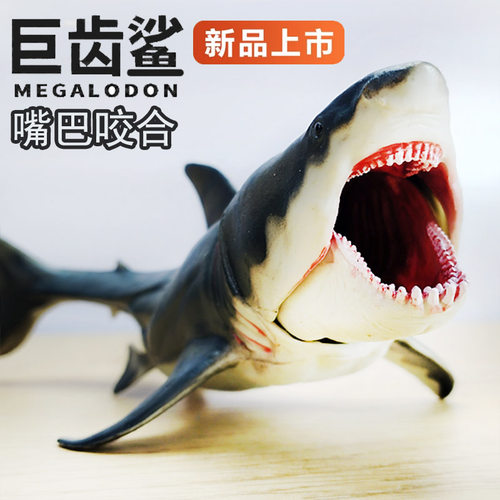 巨齿鲨模型海洋仿真动物鲨鱼玩具