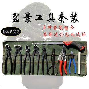 盆景工具套装 朱记盆景工具球节剪叉枝剪破杆剪铝线盆景修剪造型