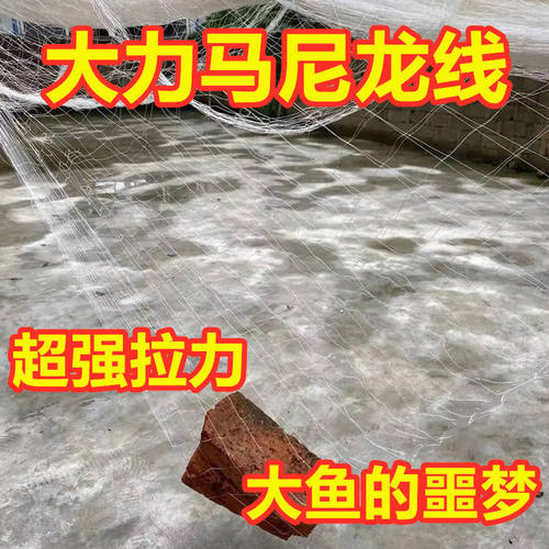 三层大鱼尼龙线强力粘网粘鲢鳙鱼