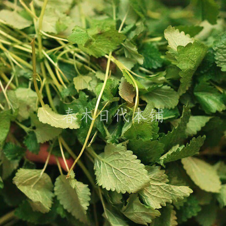 春木家 柠檬香蜂草纯露500ml 敏感花粉过敏 皮yan痘痘 屏障受损肌
