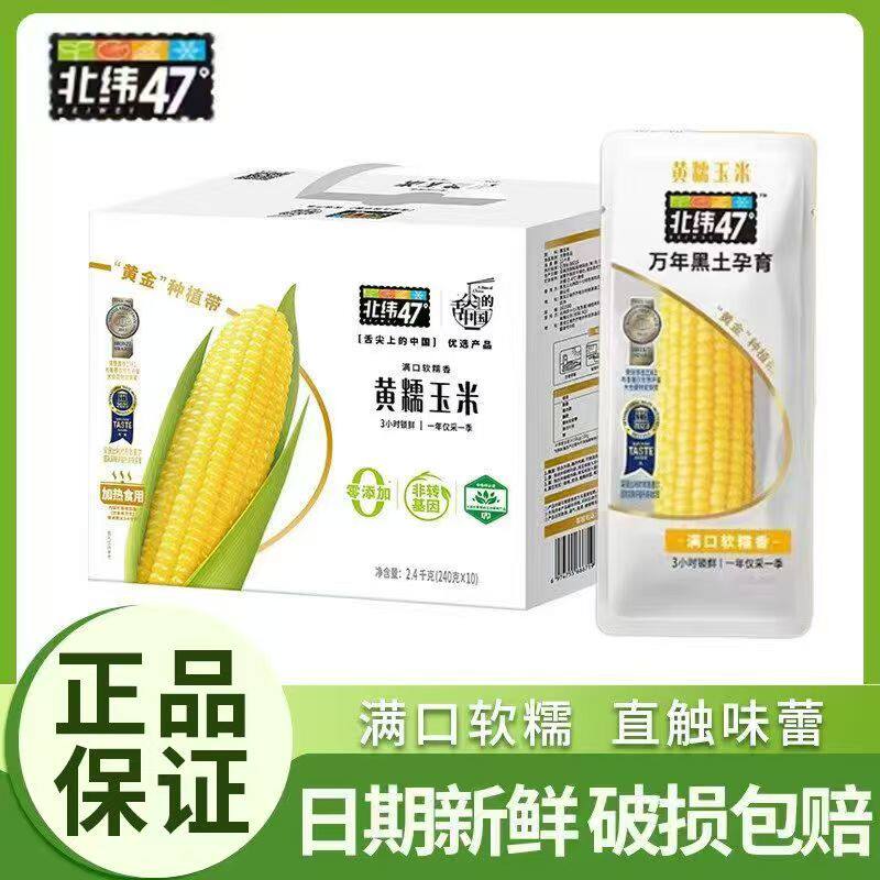 北纬47度黄糯玉米东北糯玉米新鲜甜玉米真空包装粗粮早餐苞米