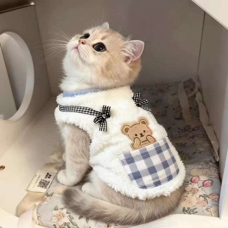 猫咪衣服秋冬装保暖防掉毛马甲宠物布偶无毛德文猫2025新款小衣服