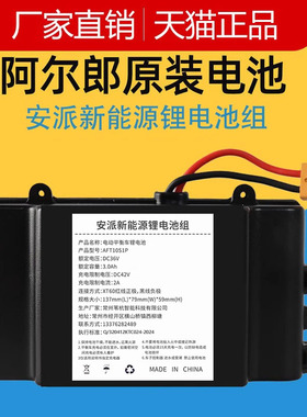 阿尔郎电动平衡车锂电池36v通用安派新能源42v扭扭车电瓶配件合一