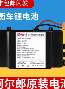 阿尔郎电动平衡车锂电池36v通用安派新能源42v扭扭车电瓶配件合一