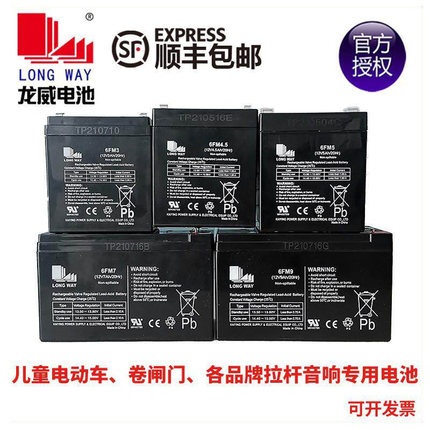 LONGWAY龙威儿童电动车童车汽车拉杆音响音箱6V12V铅酸蓄电池电瓶
