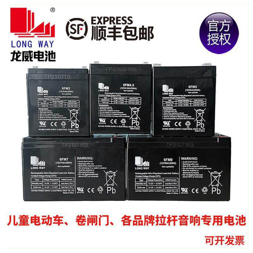 LONGWAY龙威儿童电动车童车汽车拉杆音响音箱6V12V铅酸蓄电池电瓶