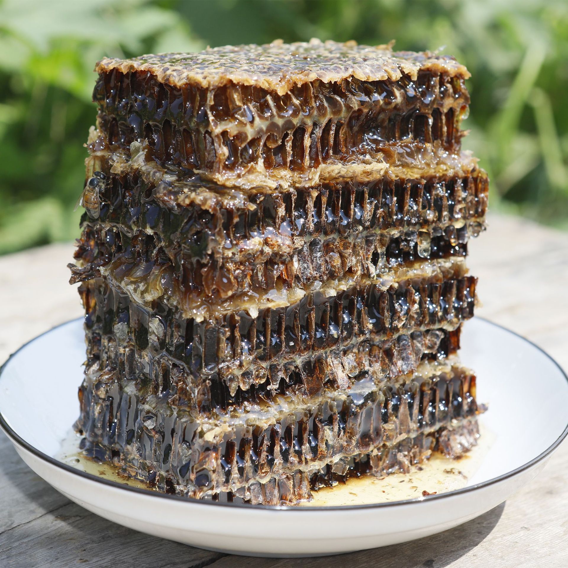 深山老蜂巢蜜老巢蜜500g老脾蜜荆条巢蜜蜂巢蜜蜂蜜野蜂蜜土蜂蜜