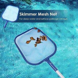 Skimmer Above Net Pool Ground Swinging Leaf