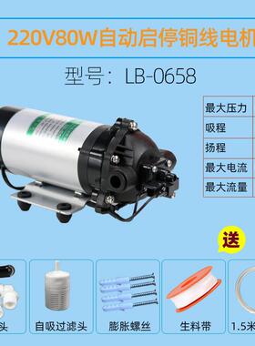 新款雷士泰微型电动隔膜泵12V24V220V家用自吸泵增压泵大吸程包邮
