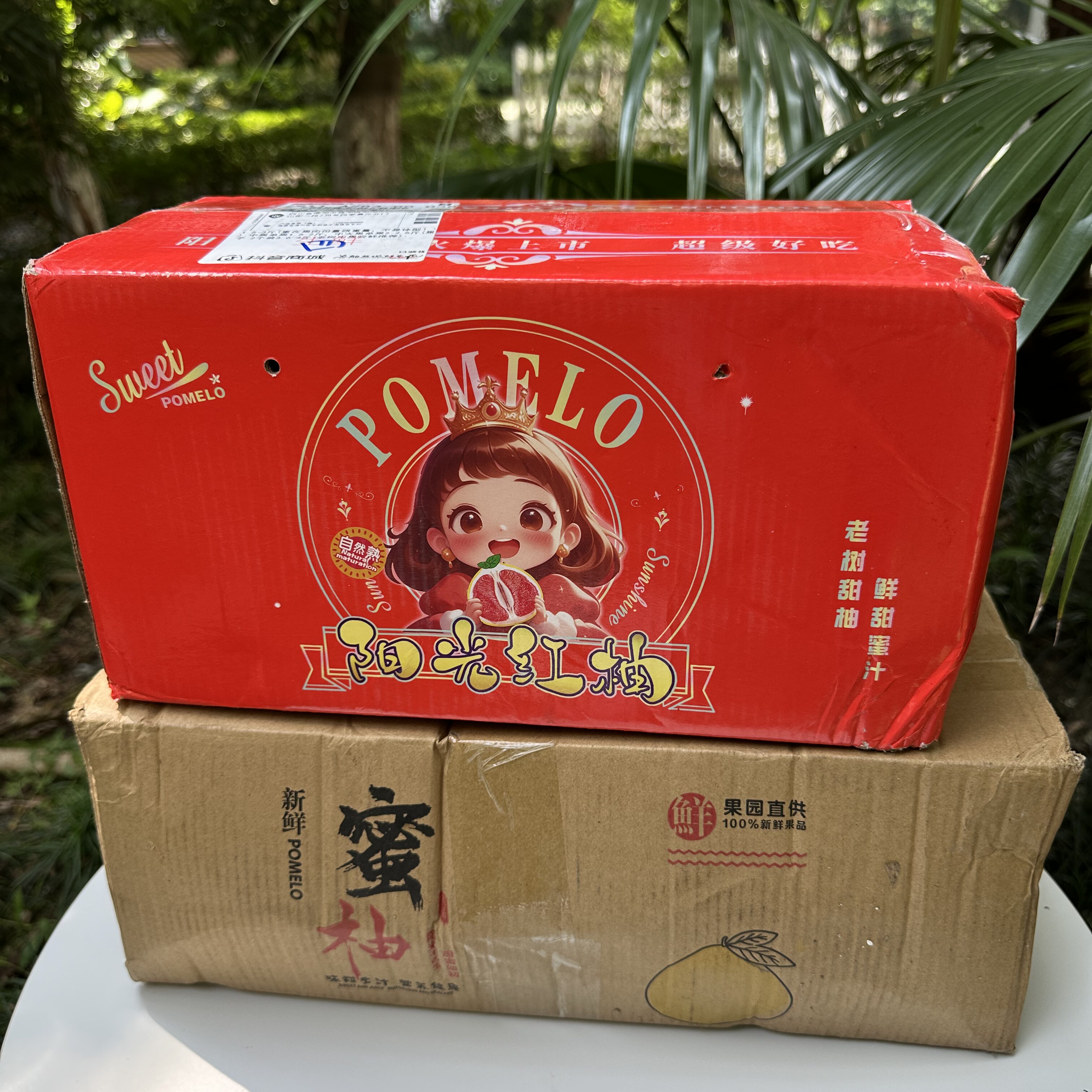 Z福建平和三红柚【口感不售后】收到取出放置两天口感更好