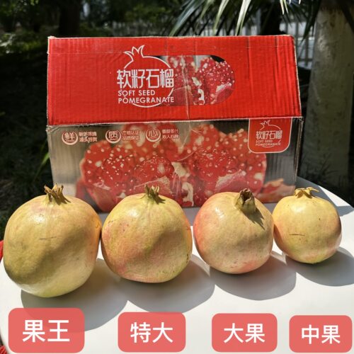 M软籽石榴【口感果皮天然花纹不售后】收到立即取出通风放置