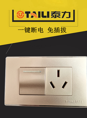 泰力热水器专用三孔16A大功率插座带开关118型TS香槟色面板4000W