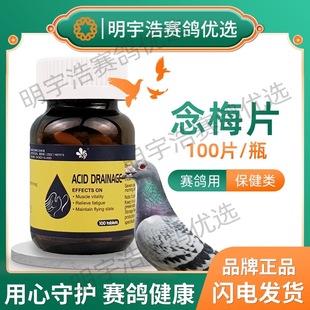 顶峰念梅原飞行家念珠菌霉菌赛鸽信鸽保健品粉剂100粒/瓶非鸽药