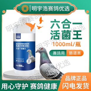 格莱德六合一活菌王赛鸽信鸽鸟肠道调理益生菌有益菌养殖常备鹦鹉