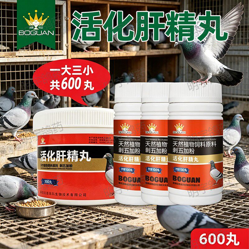 搏冠活化肝精丸信鸽用品赛鸽肝精丸鸽子调理保健品非鸽子药600丸