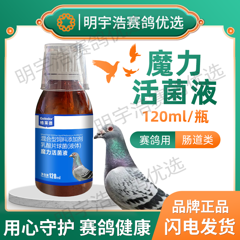格莱德魔力活菌液调理肠道调理保健赛鸽信鸽鸟鹦鹉益生菌120毫升