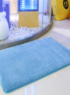 定制金黄色入户门地门垫进门地毯客厅玄关大门口家用蓝色入户脚垫